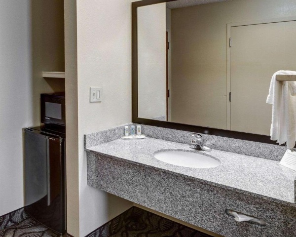 Quality Suites Baton Rouge East - Denham Springs image 20